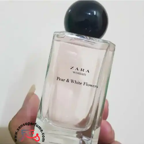 عطر ادکلن زارا پیر اند وایت فلاورز